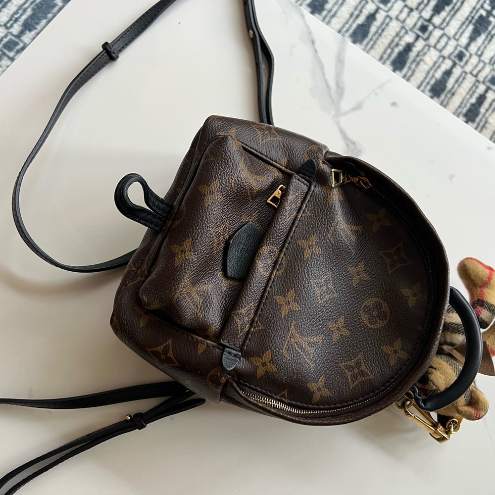 LV Palm Springs mini
